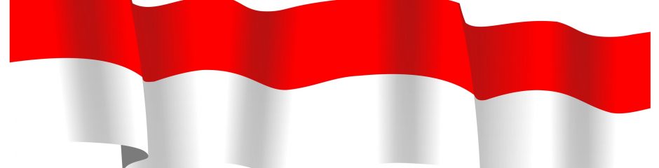 Cropped Bendera Merah Putih Vector Corel Draw Indonesian Flag Red White ...